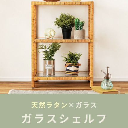 ガラスシェルフW