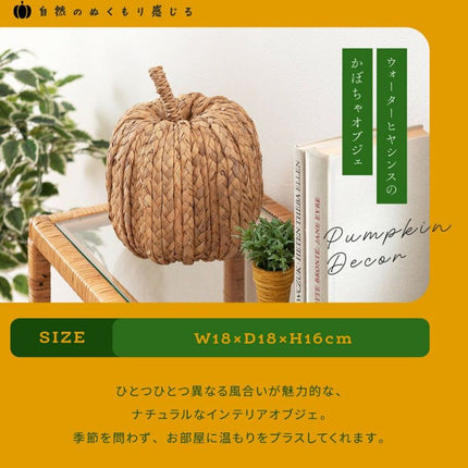 ウォーターヒヤシンス オブジェ