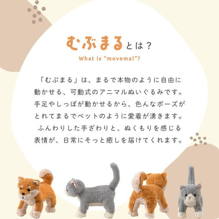 癒されアニマルmovemal