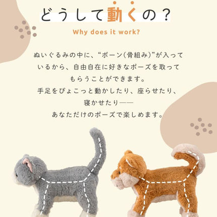 癒されアニマルmovemal