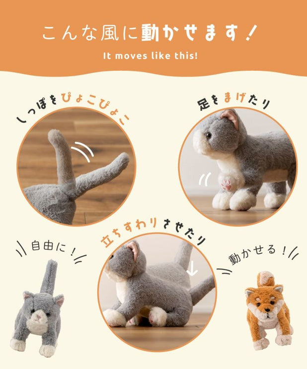癒されアニマルmovemal