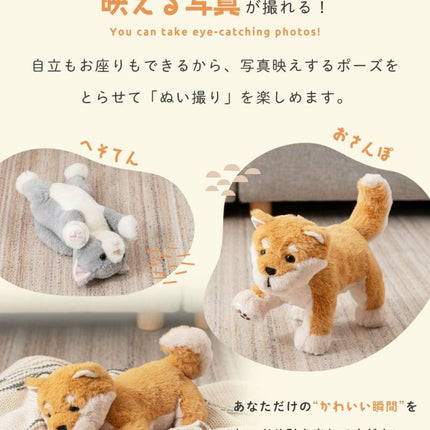 癒されアニマルmovemal
