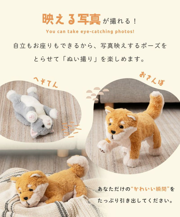 癒されアニマルmovemal