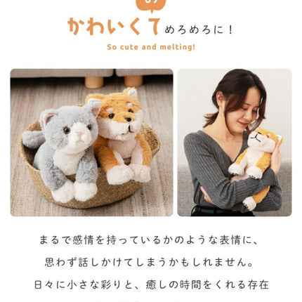 癒されアニマルmovemal
