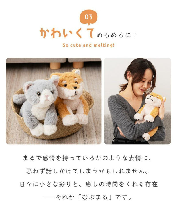 癒されアニマルmovemal
