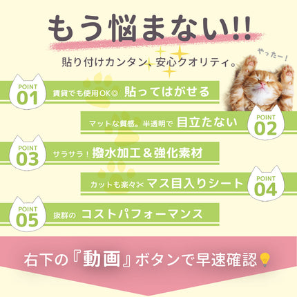 BOOMIE キャットブリーダー監修  猫用壁保護シート
