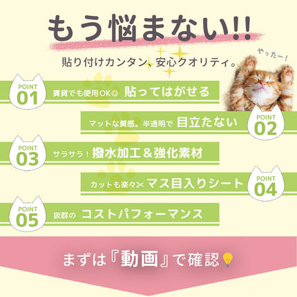 BOOMIE キャットブリーダー監修  猫用壁保護シート