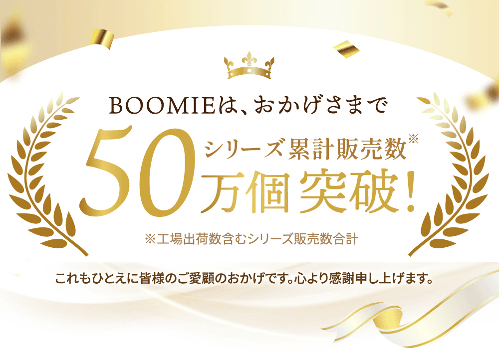 BOOMIE ヘアアイロンケース
